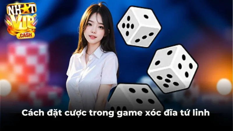Cách đặt cược trong game xóc đĩa tứ linh